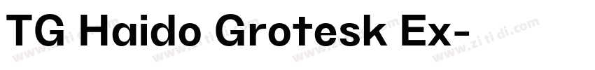 TG Haido Grotesk Ex字体转换